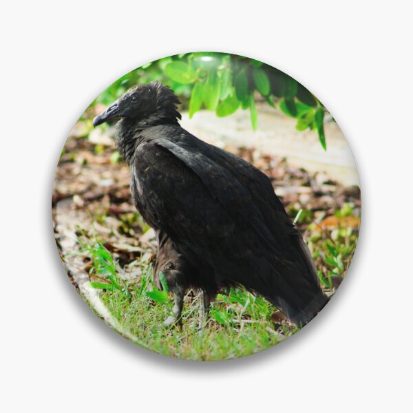 Item preview, Black-Headed Vulture designed and sold by banditandkoko.