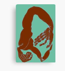 Crunch 1b Canvas Print