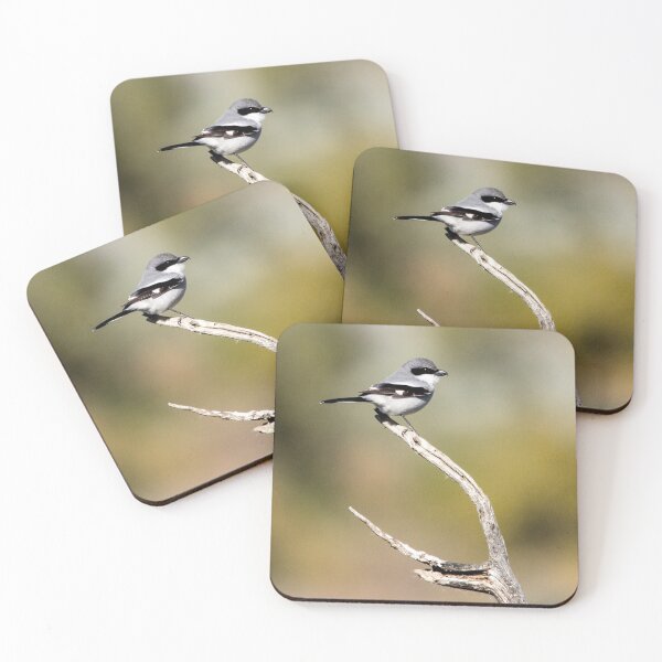 Item preview, Loggerhead Shrike designed and sold by CarolM.