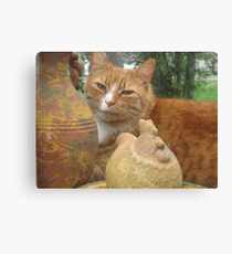 Spring Time Cat Canvas Print