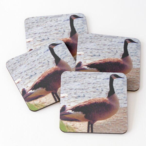 Item preview, Canadian Goose designed and sold by kristalcurt.