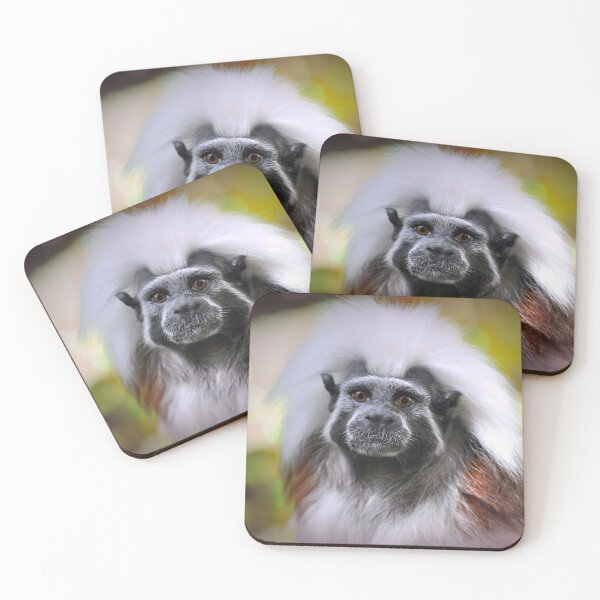 Item preview, Cotton-top Tamarin  designed and sold by Savannah Gibbs.