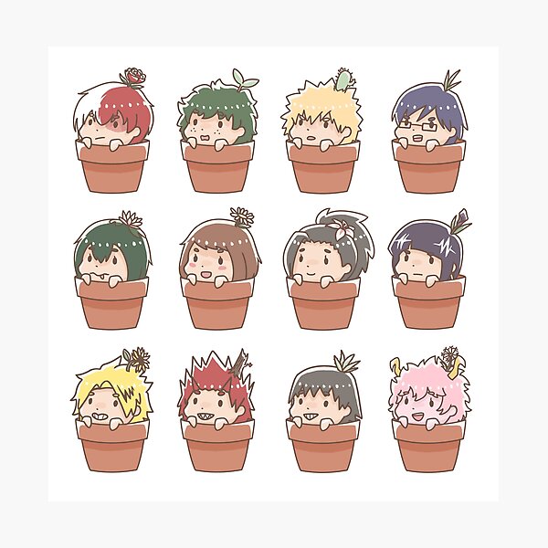 my garden academia!! Photographic Print