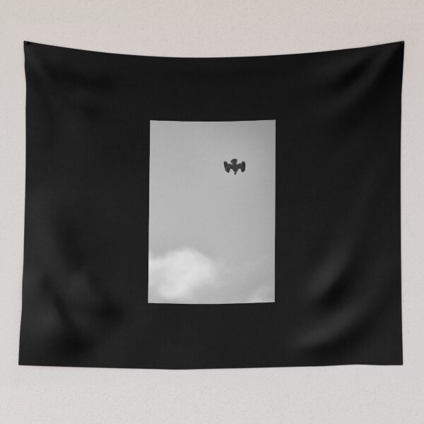 Item preview, The dive. Osprey bw designed and sold by Jouko Lehto Photography.