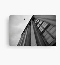 Icarus Canvas Print