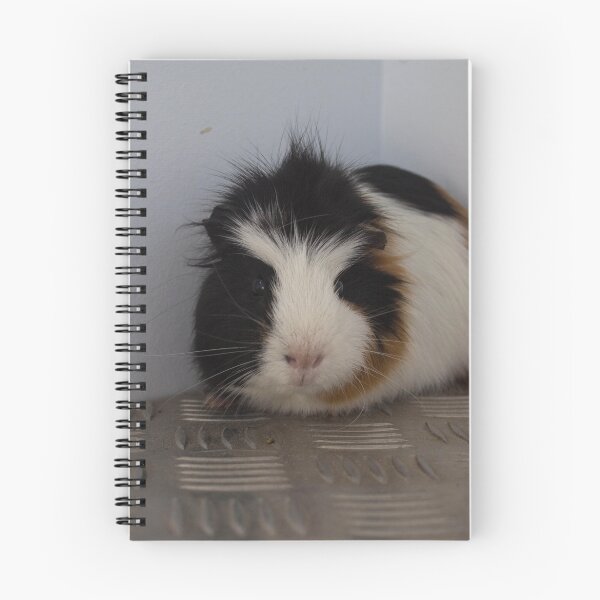 Item preview, Guineapig designed and sold by ErinJain.