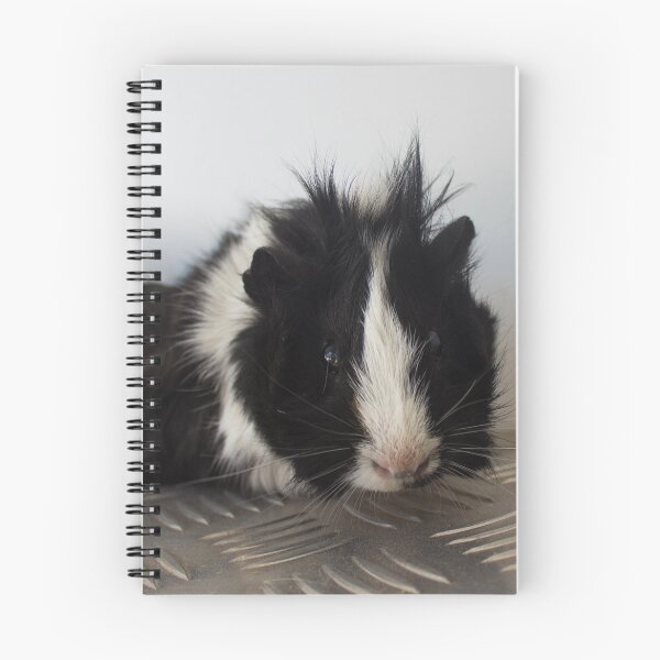 Item preview, Piggy from the Guinea designed and sold by ErinJain.