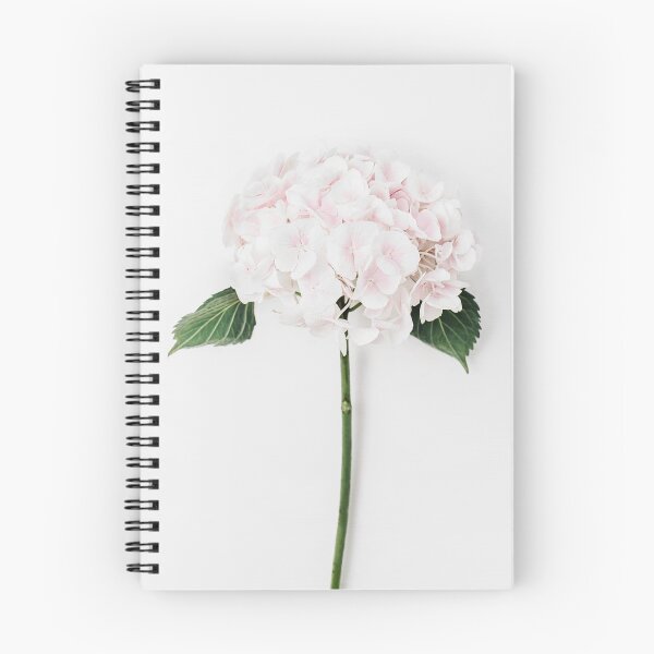 Item preview, Hortensia Light pink, Hydrangea flower designed and sold by Digital  Cloud.