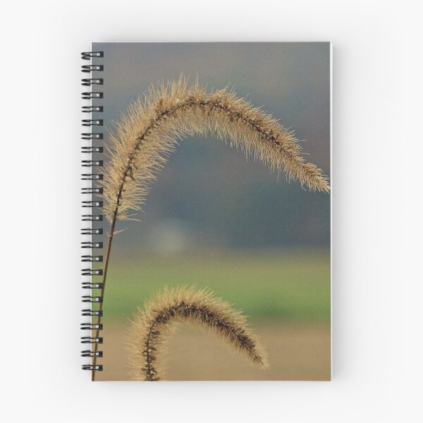 Item preview, Grass Seed Stalks designed and sold by Frankie Cat Photography.