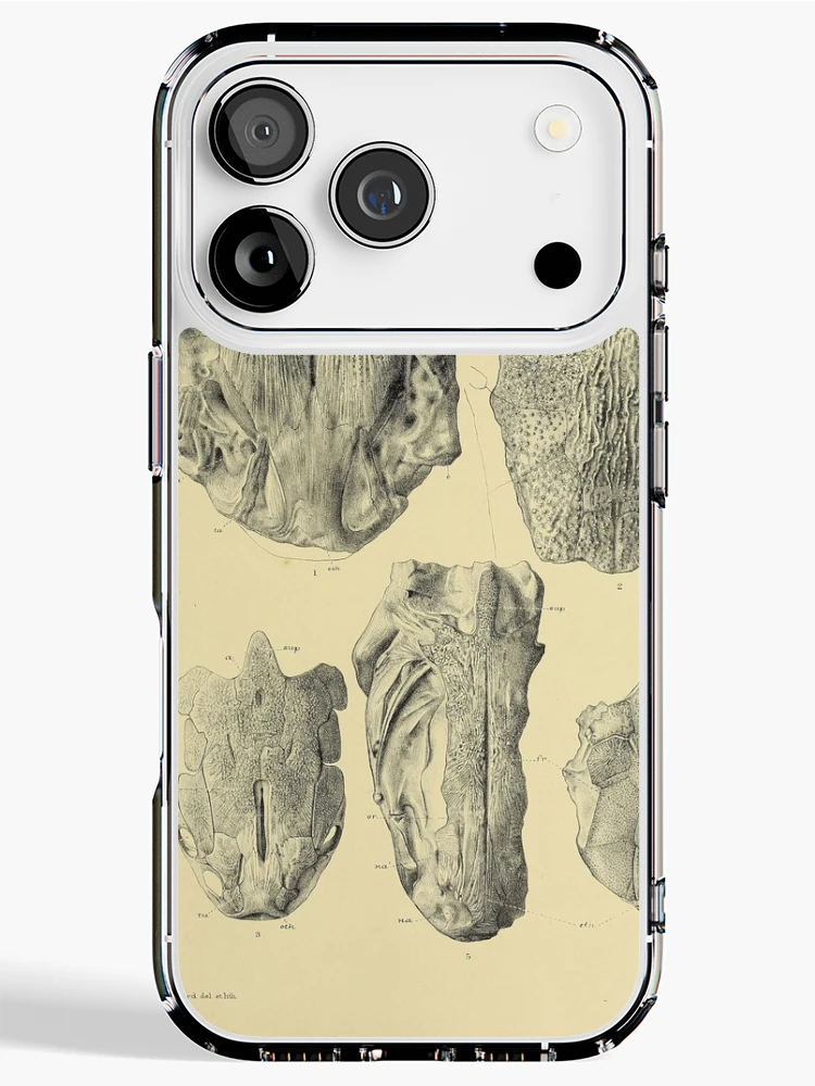Aperçu 1 sur 5. Coque iPhone avec l'œuvre Indian Tertiary and post Tertiary... créée et vendue par Rodeoclash.