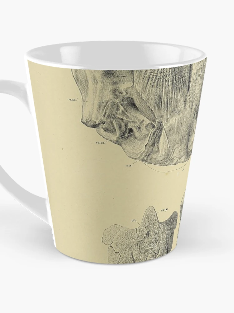 Aperçu 3 sur 4. Mug à café avec l'œuvre Indian Tertiary and post Tertiary... créée et vendue par Rodeoclash.