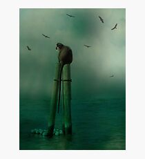 In The Ocean Mist Photographic Print