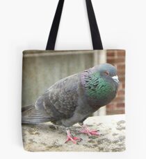 Coo © Tote Bag