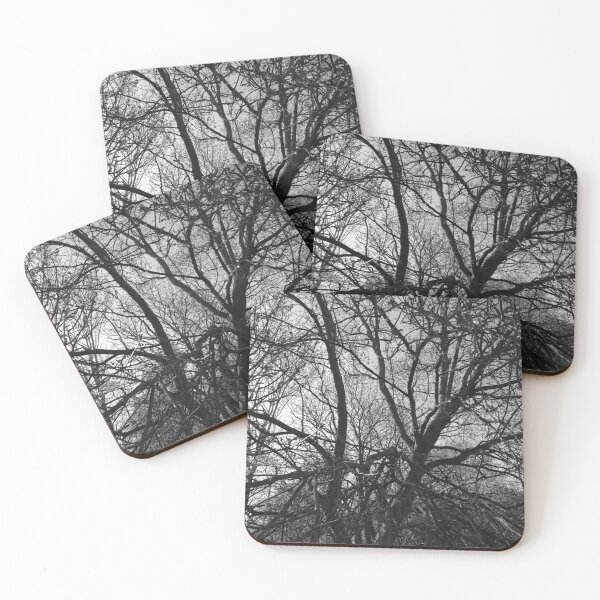 Item preview, Jumbled branches 1 (monochrome), Hob Moor, York designed and sold by paulboizot.