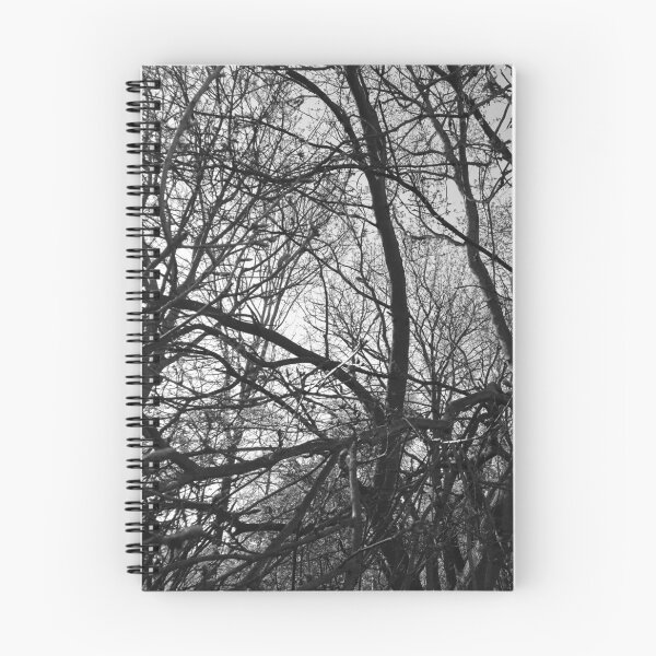 Item preview, Jumbled branches 1 (monochrome), Hob Moor, York designed and sold by paulboizot.