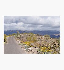 Beautiful Late Winter Desert Storm Photographic Print