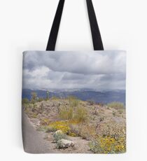 Beautiful Late Winter Desert Storm Tote Bag
