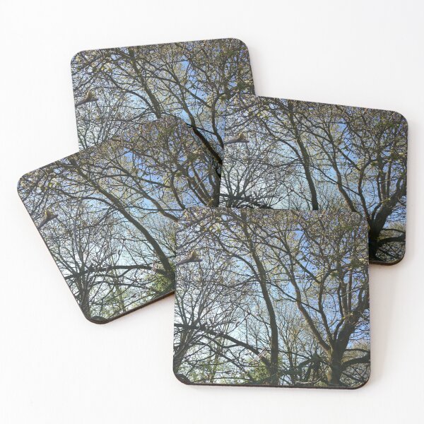 Item preview, Jumbled branches 2, Hob Moor, York designed and sold by paulboizot.