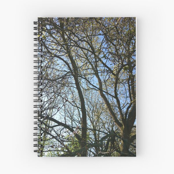 Item preview, Jumbled branches 2, Hob Moor, York designed and sold by paulboizot.