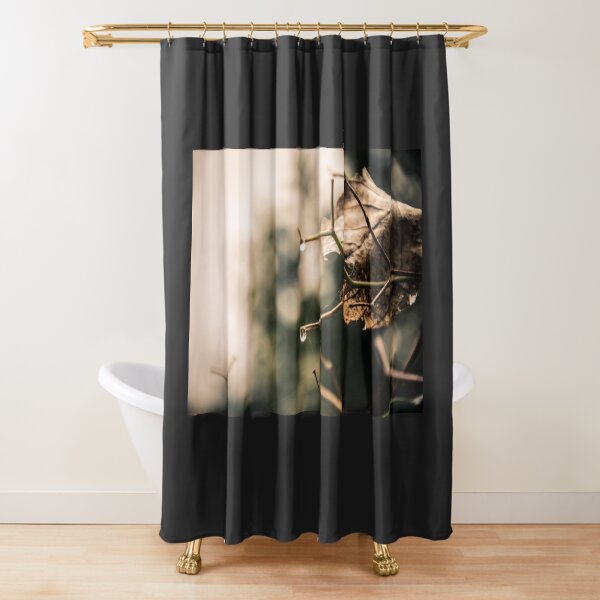Mama Earth Shower Curtain
