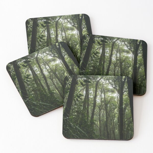 Item preview, COSTA RICA MONTEVERDE FOREST TRAVELS PHOTOGRAPHY designed and sold by Tropical Blood.