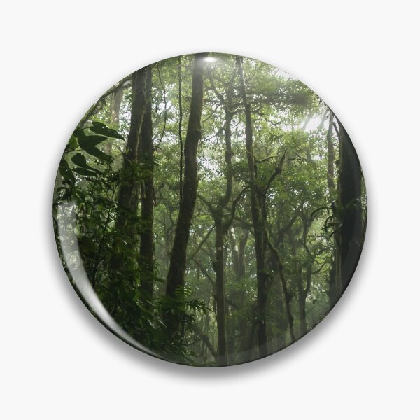 Item preview, COSTA RICA MONTEVERDE FOREST TRAVELS PHOTOGRAPHY designed and sold by Tropical Blood.