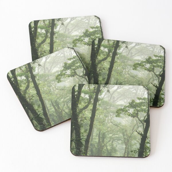 Item preview, CLOUD FOREST COSTA RICA MONTEVERDE TRAVEL PHOTOGRAPHY designed and sold by Tropical Blood.