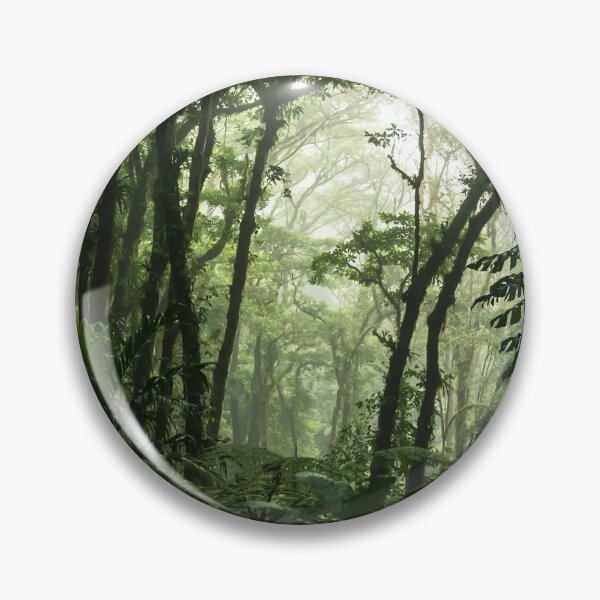 Item preview, CLOUD FOREST COSTA RICA MONTEVERDE TRAVEL PHOTOGRAPHY designed and sold by Tropical Blood.