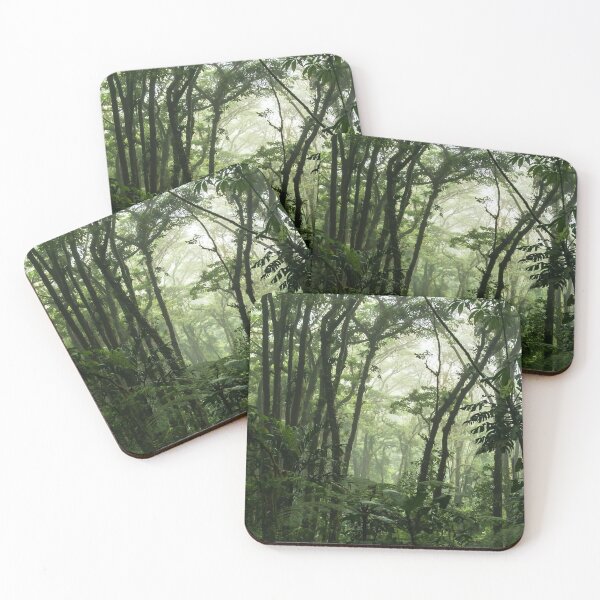 Item preview, CLOUD FOREST COSTA RICA MONTEVERDE TRAVEL PHOTOGRAPHY designed and sold by Tropical Blood.