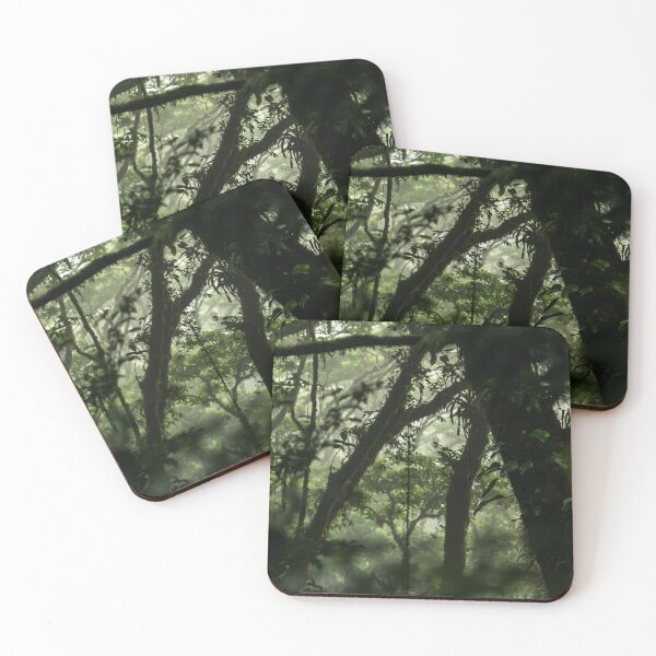 Item preview, TRAVEL PHOTOGRAPHY - COSTA RICA - CLOUD FOREST - MONTEVERDE designed and sold by Tropical Blood.