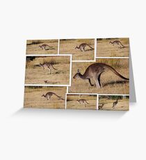 Kangaroos Hopping Greeting Card