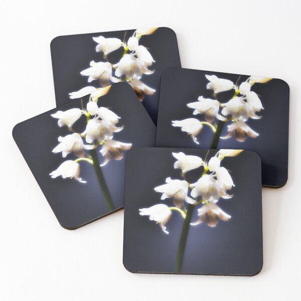 Item preview, The white Bluebell on a dark background. designed and sold by Phillip Thornton.