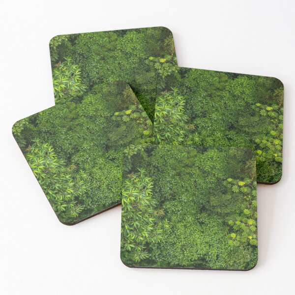 Item preview, FLOWER OS COSTA RICA - MONTEVERDE  - CLOUD FOREST  - AERIAL SHOT designed and sold by Tropical Blood.