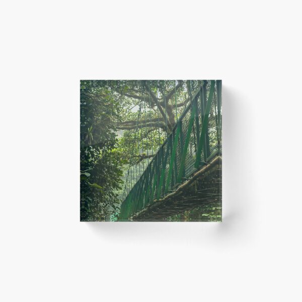 Item preview, COSTA RICA - CLOUD FOREST - BRIDGE - MONTEVERDE -   designed and sold by Tropical Blood.