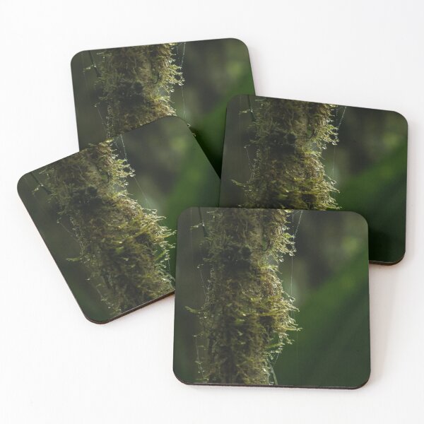Item preview, COSTA RICA - TRAVEL PHOTOGRAPHY - CLOUD FOREST  designed and sold by Tropical Blood.