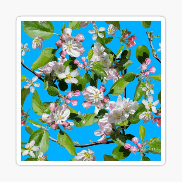 Full bloom blossom Sticker