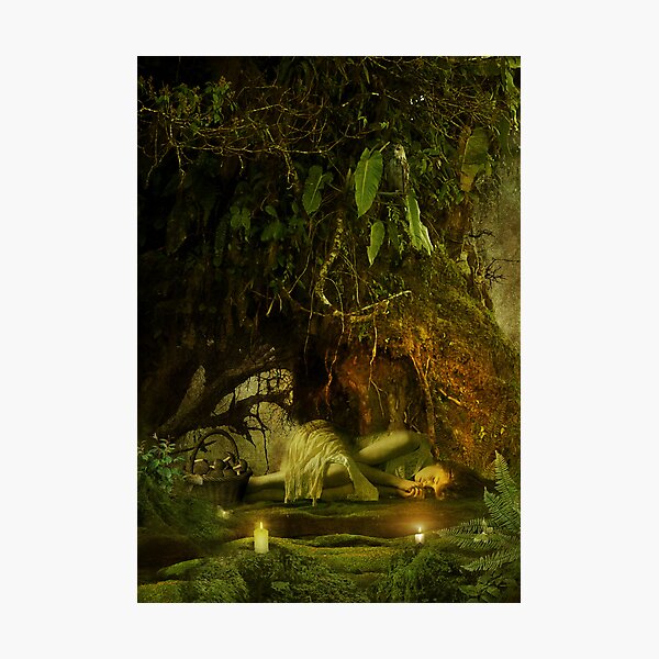 the resting tree Photographic Print