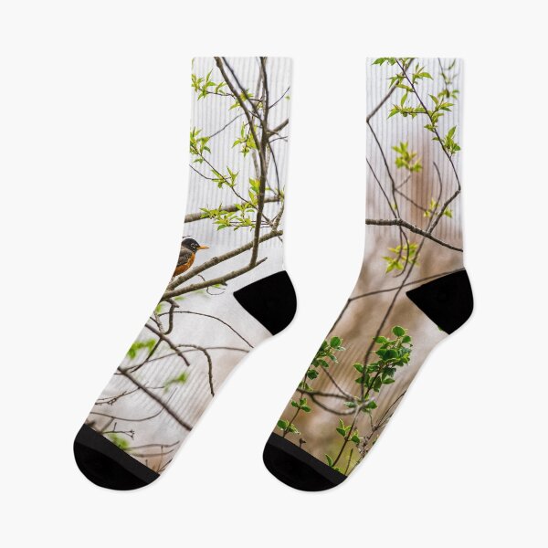 Item preview, American Robin Perched on Branch designed and sold by mljdwhite.