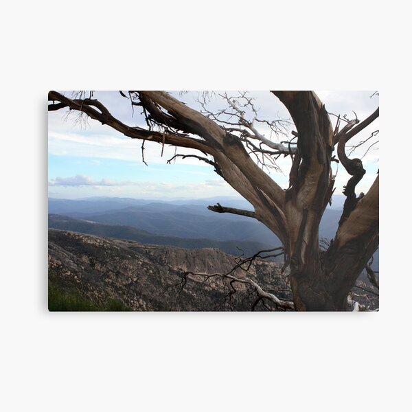 Item preview, The Horn Mt Buffalo - Victorian High Country designed and sold by Emmy Silvius.