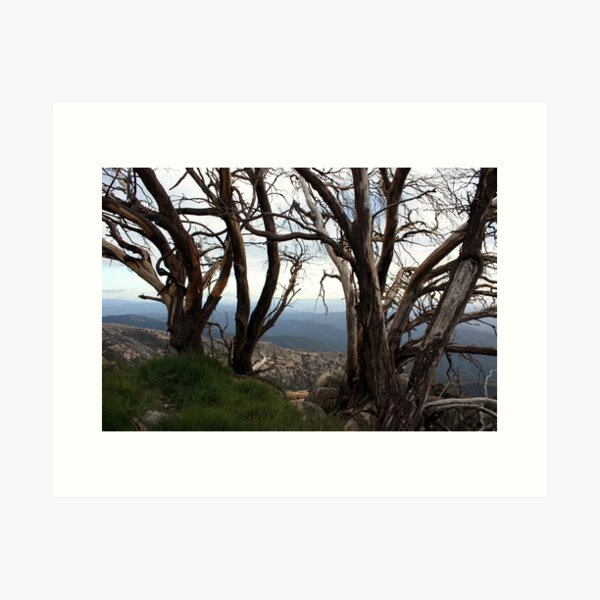 Item preview, The Horn Mt Buffalo - Victorian High Country designed and sold by Emmy Silvius.