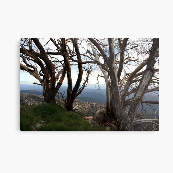 Item preview, The Horn Mt Buffalo - Victorian High Country designed and sold by Emmy Silvius.