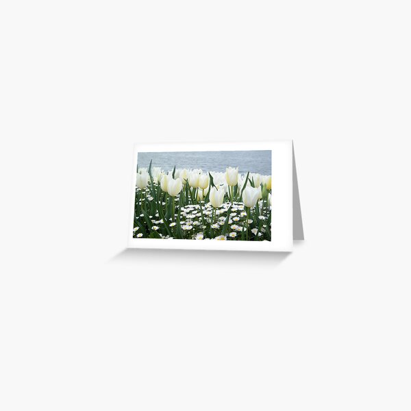 Tulips Greeting Card