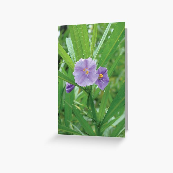 Item preview, Tidal Track Wilsons Prom NP Vic designed and sold by Emmy Silvius.