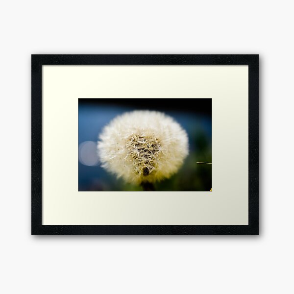 Item preview, Detail of Dandelion! designed and sold by Anoebis.