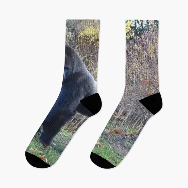 Item preview, Sexy Gorilla in the garden designed and sold by Catavan.