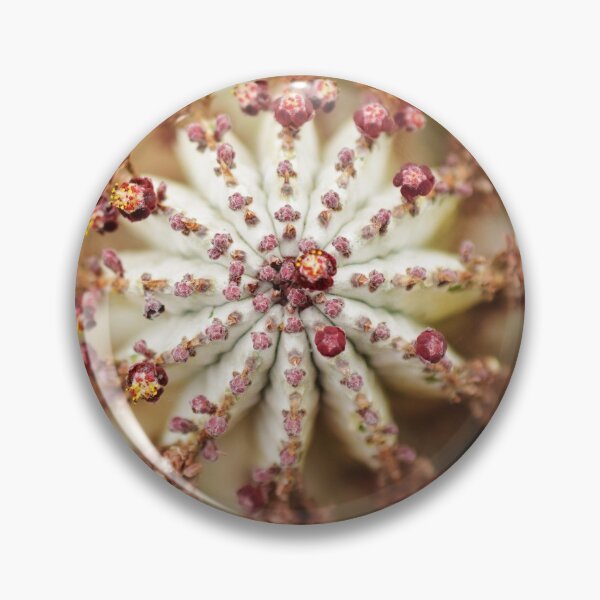 Artikelvorschau, A detail of a succulent! entworfen und verkauft von Anoebis.