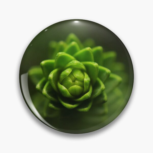 Artikelvorschau, Detail of a cactus succulent entworfen und verkauft von Anoebis.