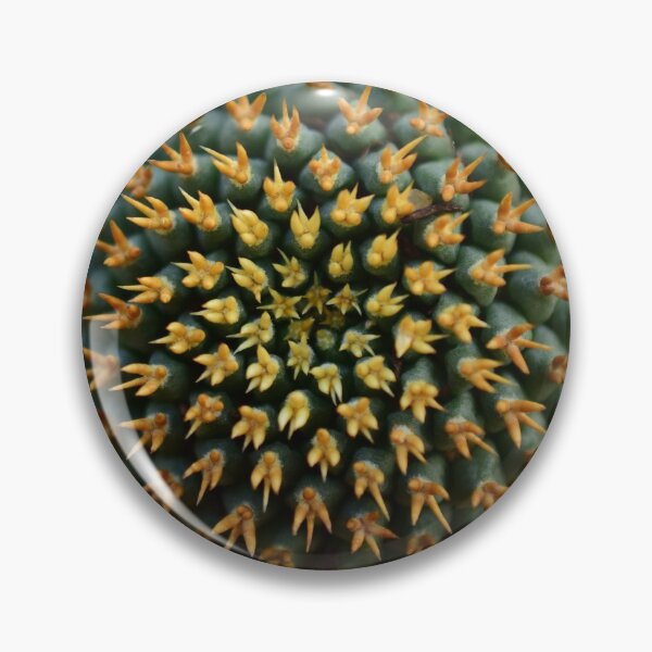 Artikelvorschau, Detail of a succulent cactus. entworfen und verkauft von Anoebis.