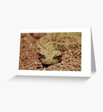Deathly stare Greeting Card