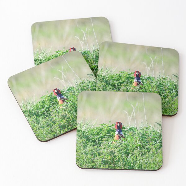 Item preview, Nosy Male Pheasant designed and sold by InterestingImag.